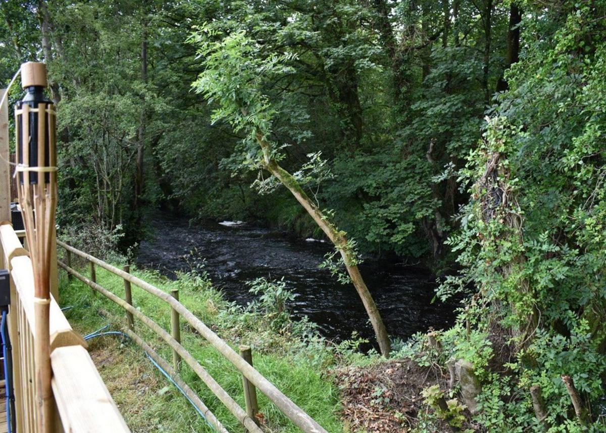 Riverview Lodges And Glamping Welshpool Eksteriør billede