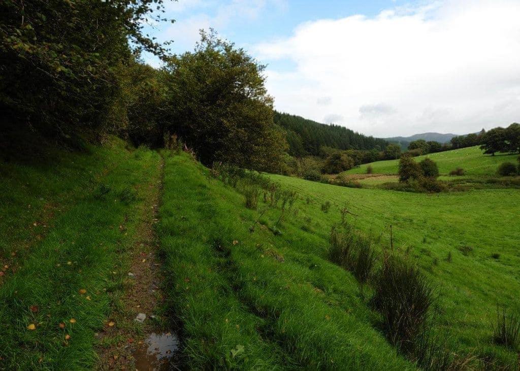 Riverview Lodges And Glamping Welshpool Eksteriør billede